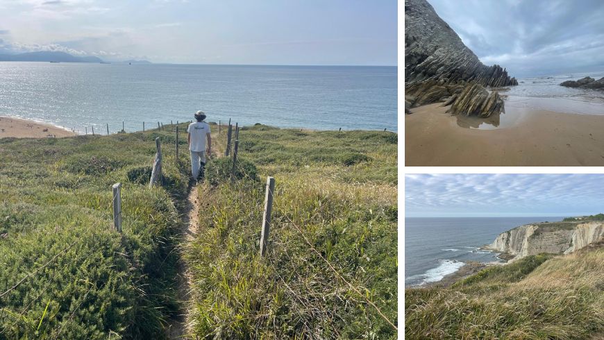 Green trail leading to the sea along a natural coastline with cliffs and rocks typical of the Basque flysch.