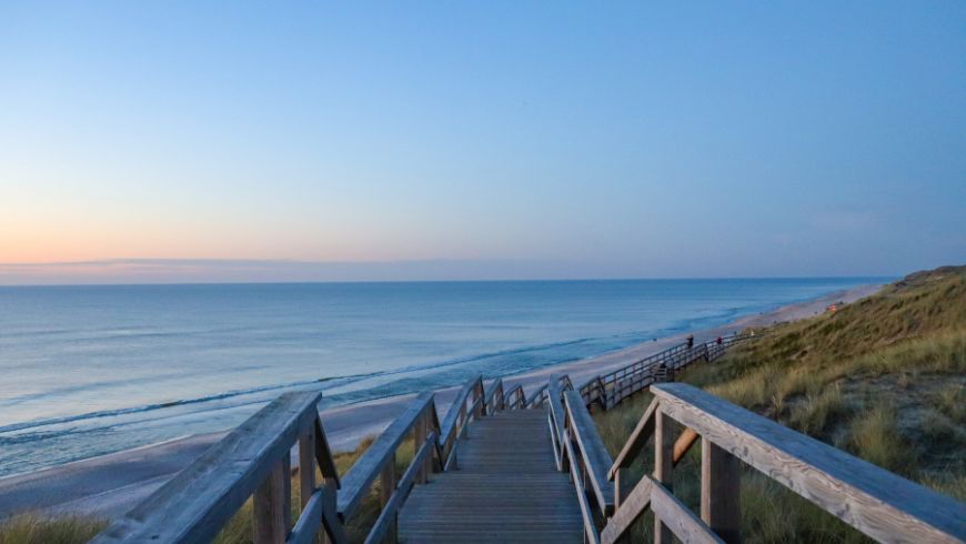 Wooden boardwalk crossing sandy coastal dunes with native vegetation and the sea in the background.