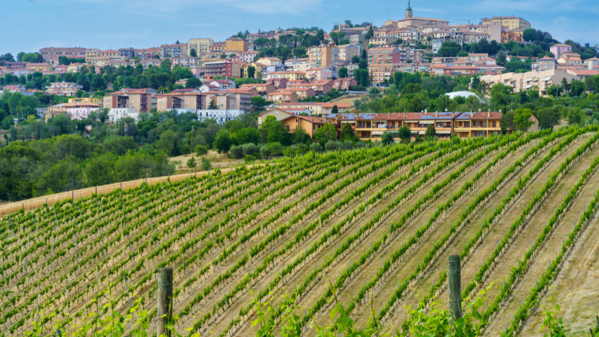 View of Camerano, Marche region, Italy