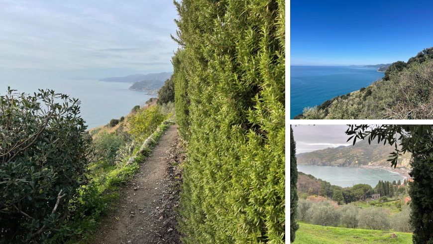 Hiking trail from Levanto to Monterosso through Punta Mesco