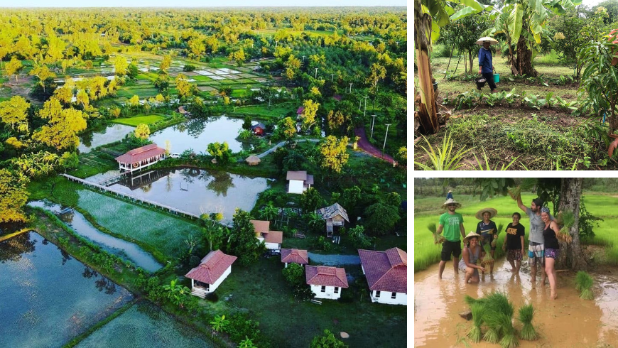 Suwan Farmstay organic farm in Nong Khai, northeastern Thailand