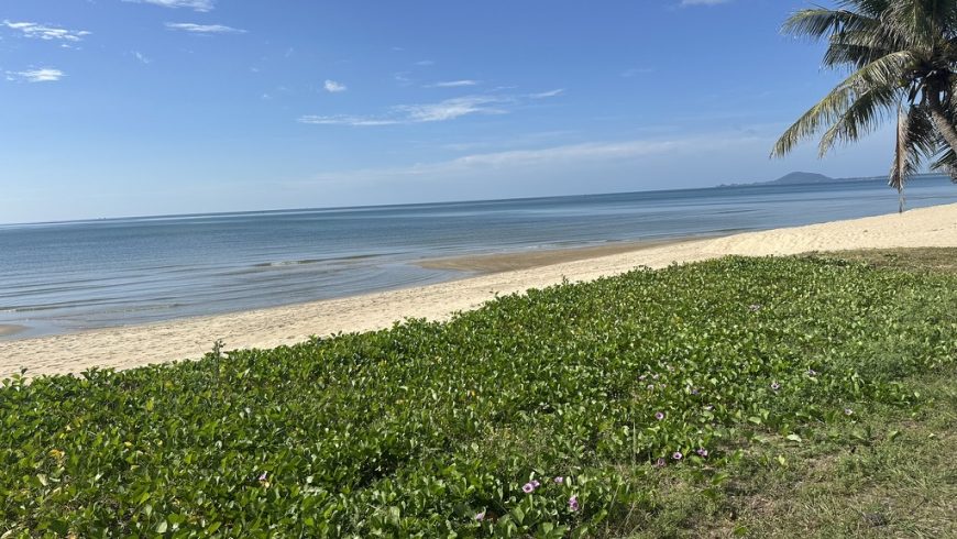 the beach itself, wide angle, empty, on a weekday.