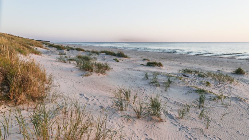 Natural sand dunes covered with coastal vegetation along a sandy shoreline.