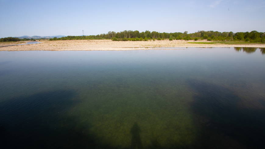 Taro river