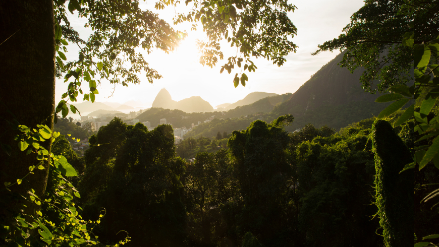 Tijuca national park, close to the city