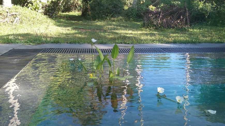 eco-pool