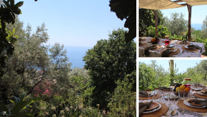 View of the sea, the hillside and the landscape among the olive trees