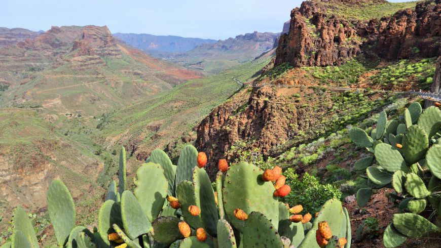 Natural landscape of Faga Goge with cacti in the foreground and mountains in the background