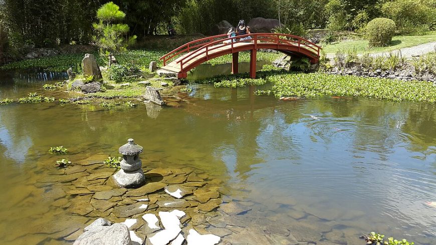 Japanese garden at Lankester Botanical Garden in Cartago Province, Costa Rica.