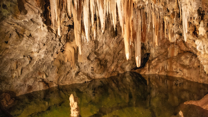Discover the WWF Bussento Caves Oasis in Campania