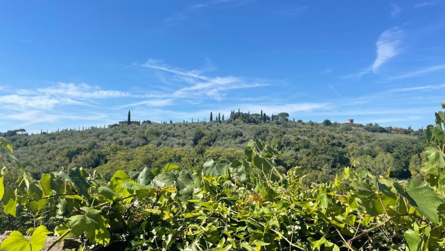Green hills and rural landscapes along a cycling route in the countryside around Florence.