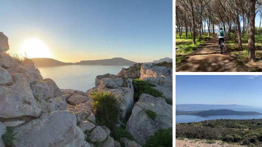 Sea, nature, cliffs and woodlands to explore on foot or by e-bike