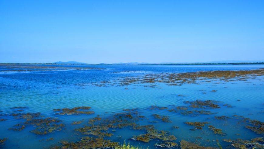 Orbetello nature oasis in Tuscany