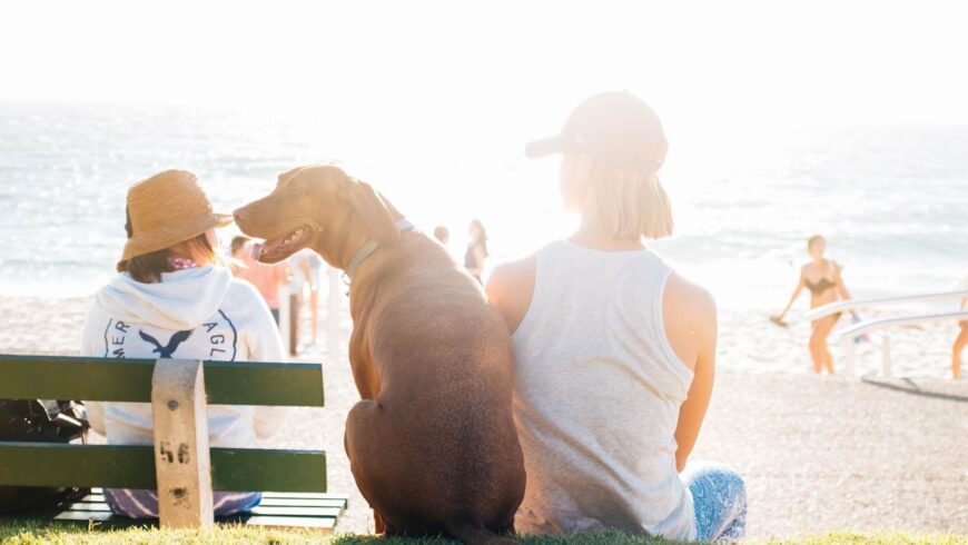 Urlaub mit Hund: Mädchen mit Hund sitzen am Strand in der Sonne