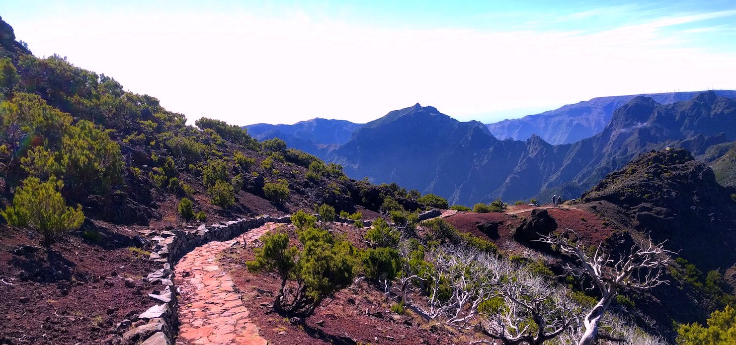 Madeira im Februar – eine Insel-Reise zur Nebensaison - Ecobnb