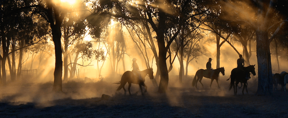 Drei Menschen reiten auf Pferden im Sonnenuntergang durch den Wald