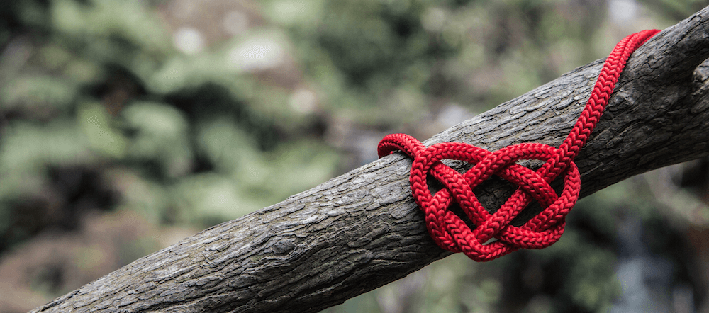 Ein rotes Seil wurde zu einem Herz verknotet und an einen Ast gebunden