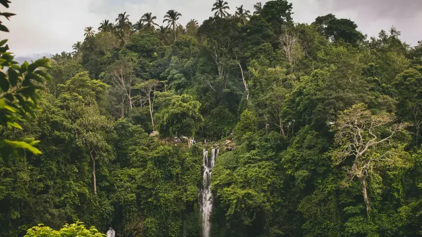 Sekumpul Wasserfall, Bali, Indonesien. 