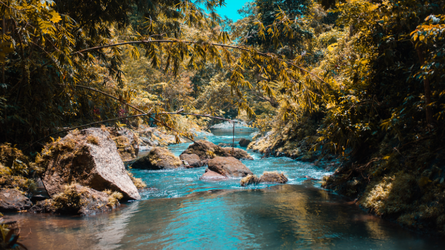 Ein kristallklarer Bach, der durch einen dichten, üppigen Wald fließt und die Harmonie zwischen der Bewegung des Wassers und der Ruhe der Bäume einfängt.