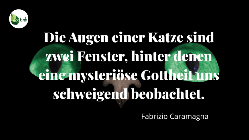 Nahaufnahme leuchtend grüner Katzenaugen in der Dunkelheit mit dem Zitat von Fabrizio Caramagna: „Die Augen einer Katze sind zwei Fenster, hinter denen eine geheimnisvolle Gottheit uns schweigend beobachtet.“