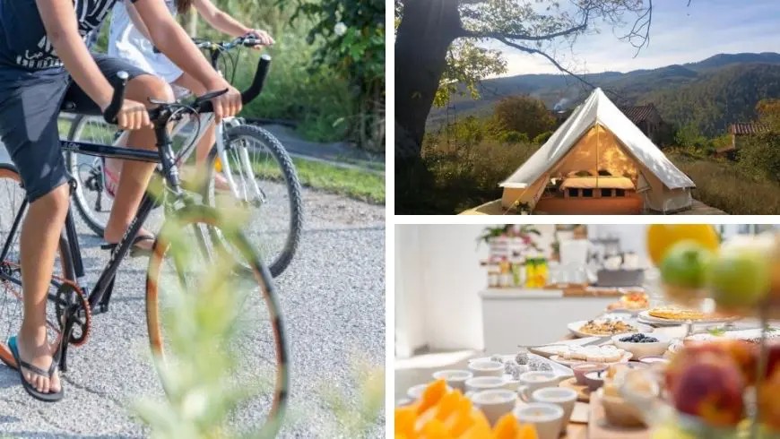 Collage-Bild, das links den warmen Innenraum eines Bell-Tents mit Bett und Blick auf eine Hängematte zeigt, oben rechts ein Nistkasten in einem Baum und unten rechts ein weiteres Bell-Tent mit Liegestühlen im Wald.