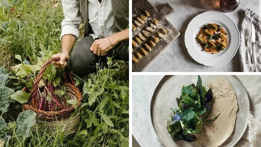 Collage zum Thema Bio-Gastronomie: Links eine Person, die frisches Gemüse in einen Korb erntet; rechts zwei Bilder von ästhetisch angerichteten, vegetarischen Gourmet-Gerichten auf Tellern.