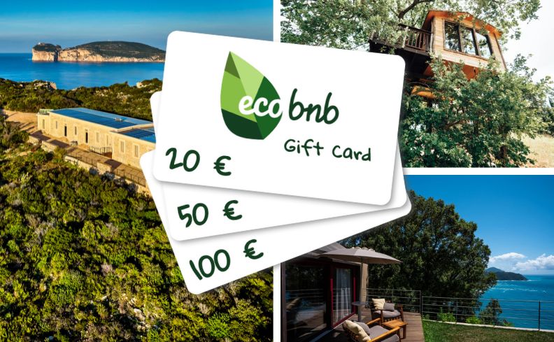 Eine geöffnete Geschenkbox mit einer Ecobnb-Geschenkkarte, auf einem hellblauen Hintergrund.