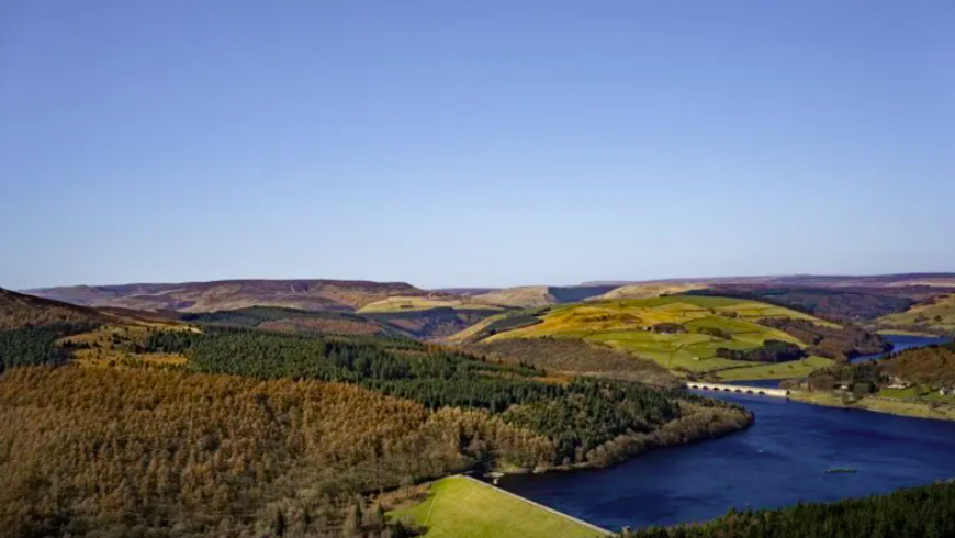 Die schönsten Wälder der Welt: Der Peak-District Wald in England.