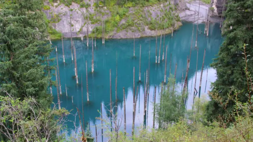 Die schönsten Wälder der Welt: Der Unterwasserwald Kaindy, aus dem die Fichtenspitzen ragen.