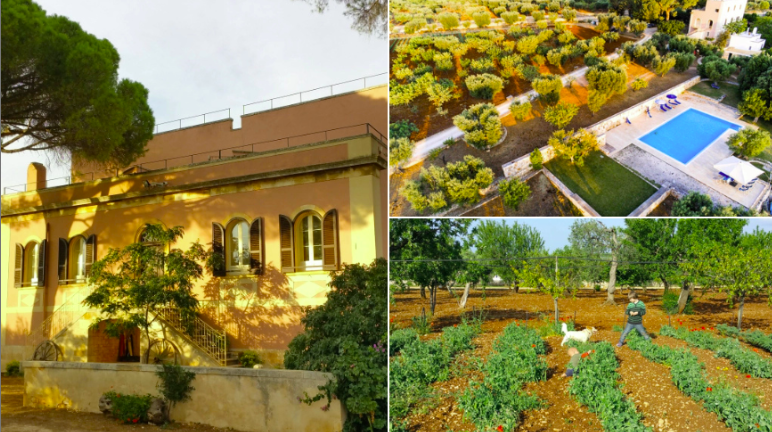 Agriturismo biologico Serragambetta: Übernachten in den Murge Meridionali