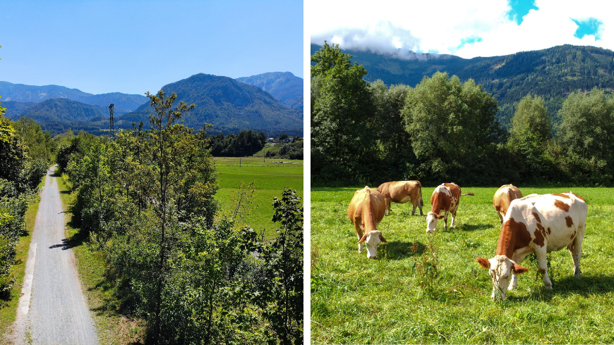 Drauradweg: Luftaufnahme des Radwegs und Landschaft mit Tieren 
