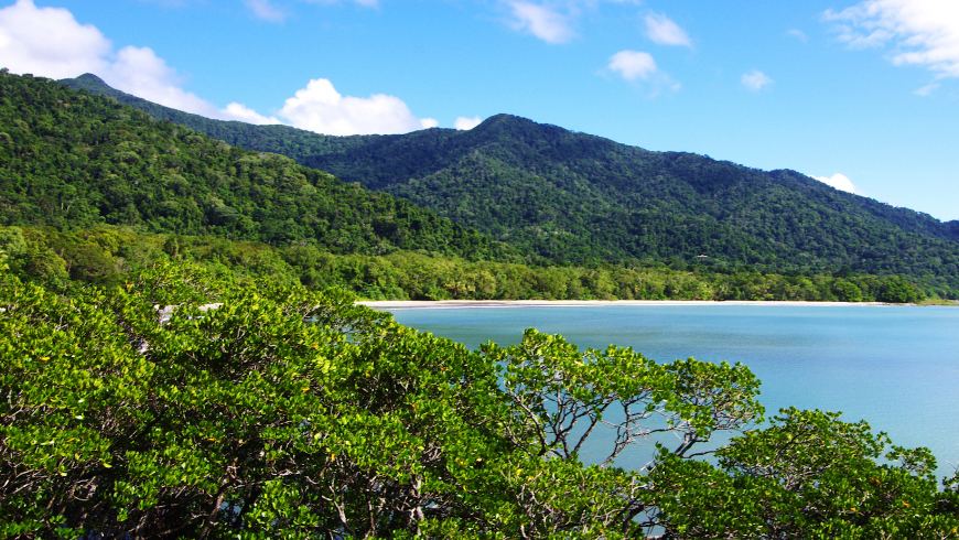 Küste und Regenwald des Daintree Parks