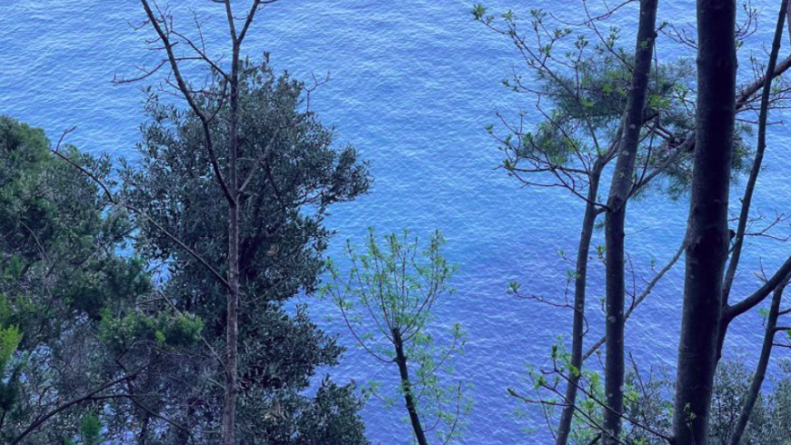 Wandern von San Fruttuoso zur Cervara: Grün und Meer entlang des Weges. 