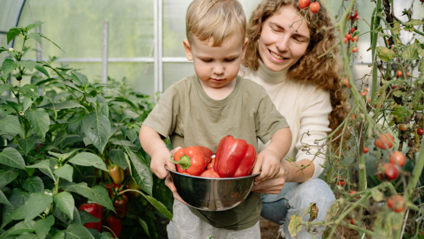 Mama und Kind, der das Gemüse aus dem Garten sammelt