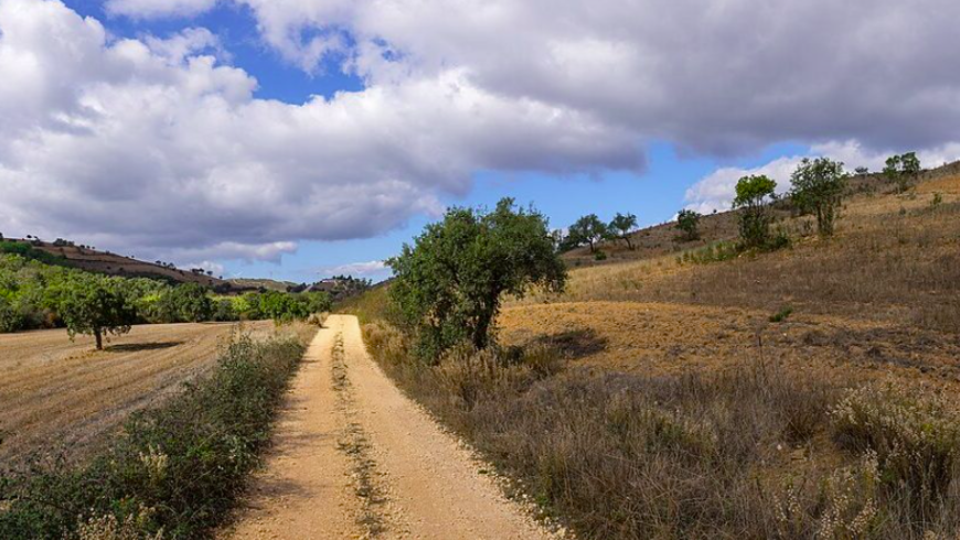 Weg der Via Algarviana