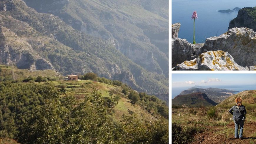 abgelegene Ferienhaus mit privatem Wäldchen in Vico Equense
