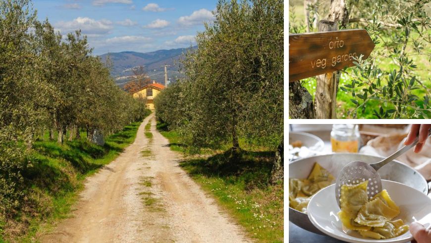 Bildercollage des Bioagriturismo Poderaccio in Incisa Valdarno, eingebettet in Olivenhaine, mit Bio-Gemüsegarten und hausgemachten Kräuter-Tortelli. Eine andere, authentische und nachhaltige Toskana entdecken.