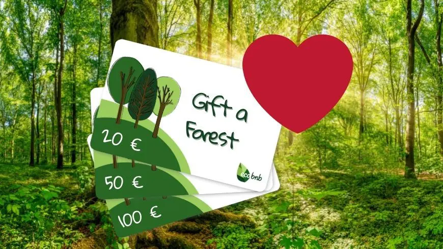 Geschenkgutscheine „Give a Forest“
