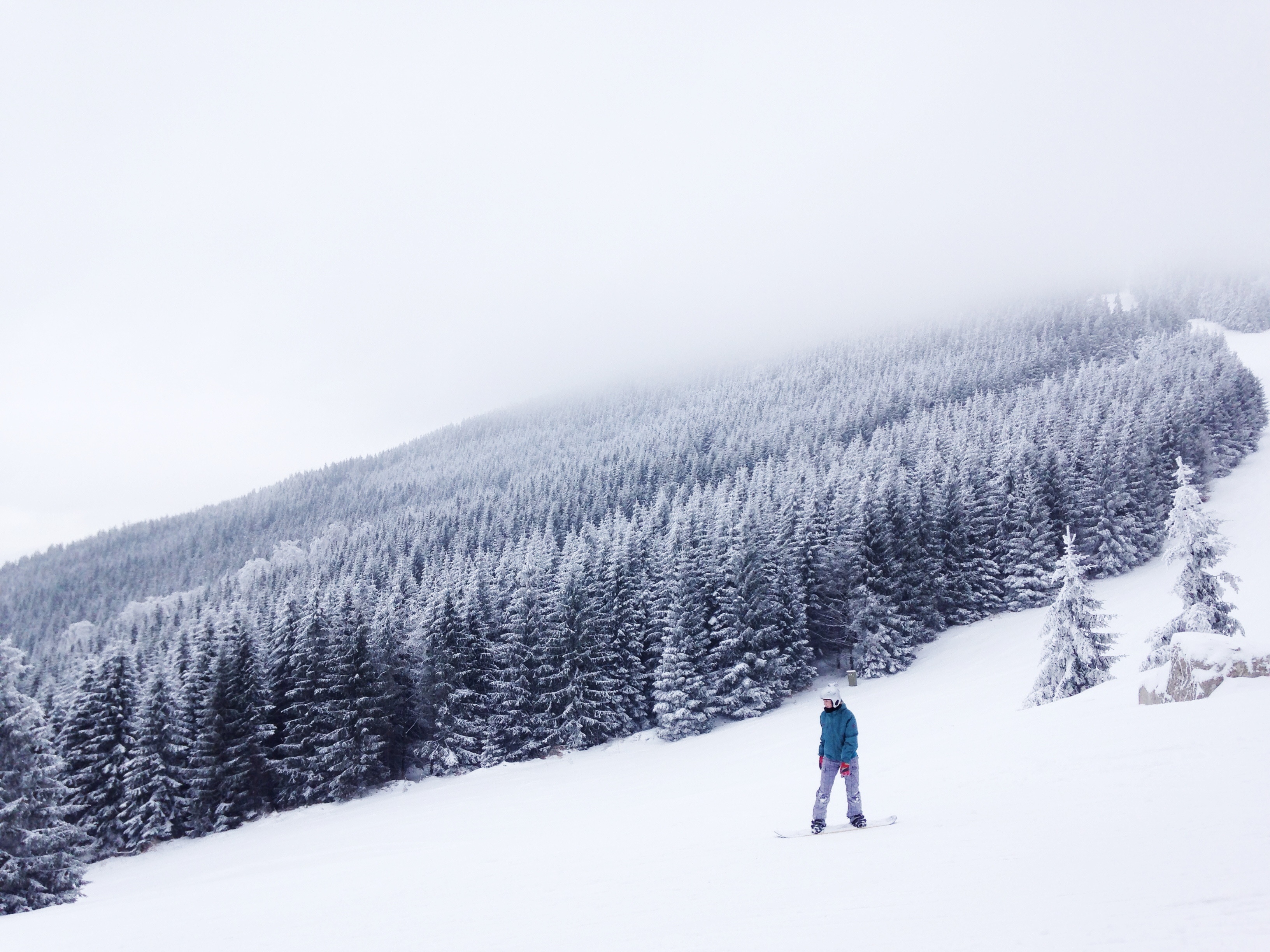 Snowboard en la nieve ,fotos de Tomas Kodydek, a través de unsplash