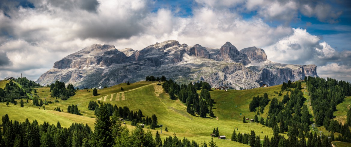 Paisaje de las montañas y los bosques en los Alpes