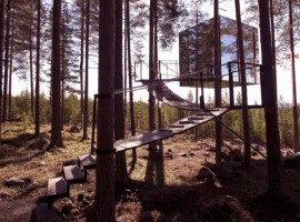 árboles del Treehotel, Suecia. Los 19 hoteles más extraños del mundo.