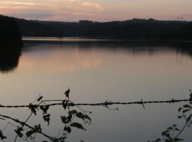 Serbia Lago Naturaleza