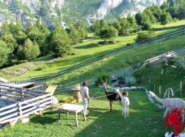 Imagen destacada: Dolomitas de Lago Nero y Brenta por Michele Zeni