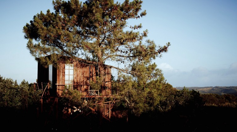 Casa del árbol en un camping ecológico de Portugal