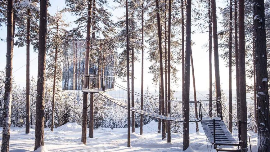 Casa del árbol con escaleras, en Suecia 