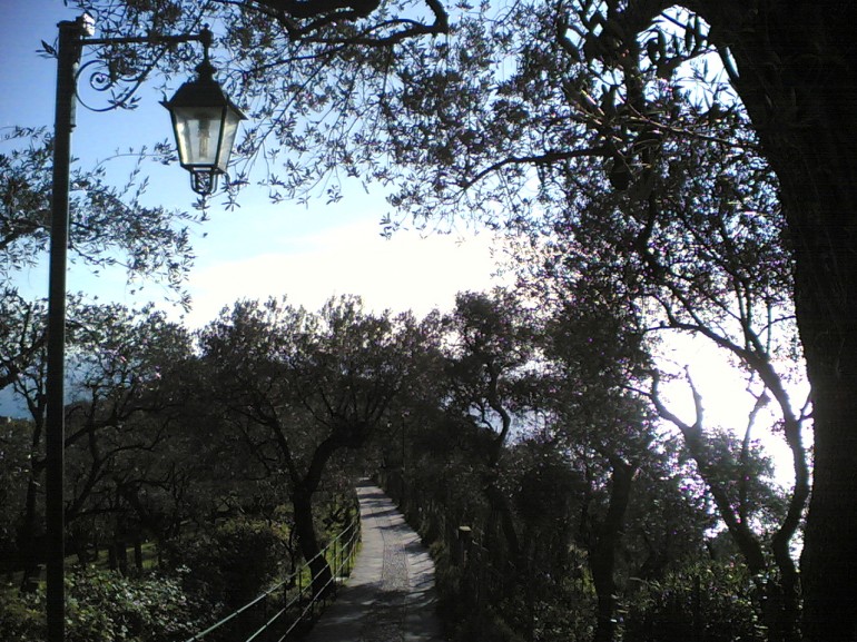 Monte de Portofino