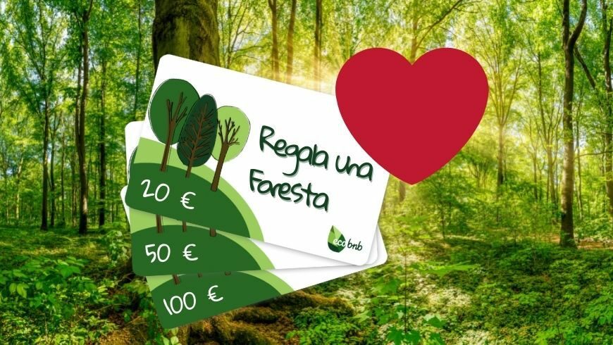 Regala una foresta con la tarjeta de regalo de econbnb