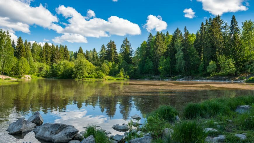 Finlandia: uno de los destinos más ecológicos del norte de Europa.
Foto de maisicon vía Canva Pro