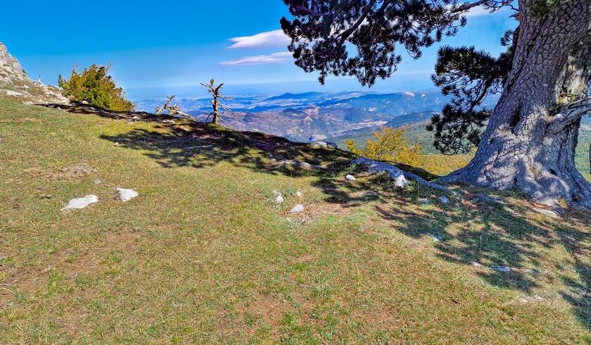 cresta de Crispo, Basilicata