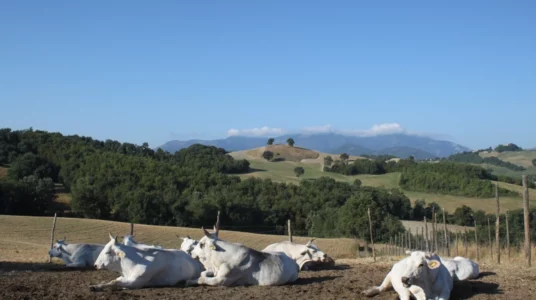 Locanda della Valle Nuova